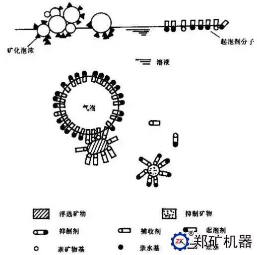 藥劑和礦漿的作用原理